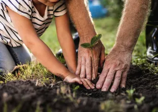 mains d'un adulte et d'un enfant plantant dans un jardin